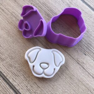 Cute DOG