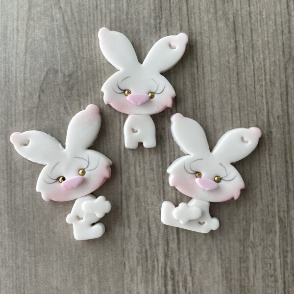 COELHUDO DETALHES 1412AJ3D
