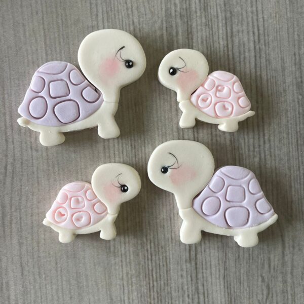 TARTARUGA CUTE 01 1597AJ3D