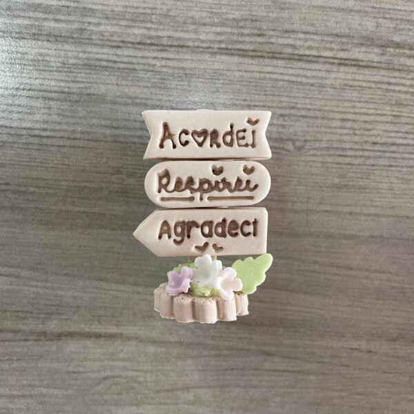 ACORDEI RESPIREI AGRADECI 1631AJ3D
